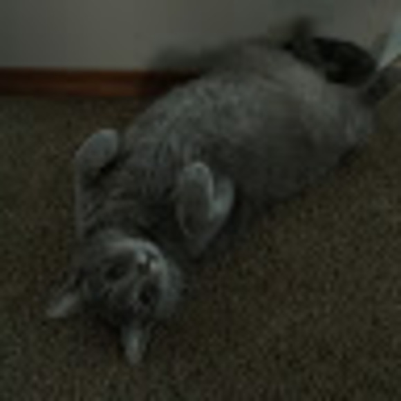 Meet your Posher, Cathy - Picture 1 of 1